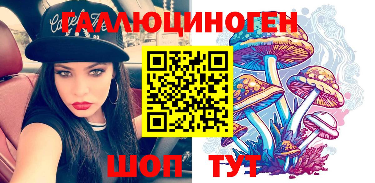 Галлюциногенные грибы Psilocybe  Вход с VPN  Добрянка 